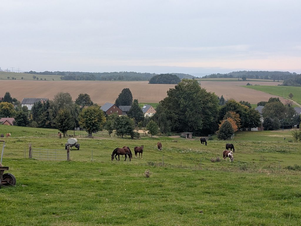 Das aktuelle Bild hat keinen Alternativtext. Der Dateiname ist: Titelbild-scaled.jpg