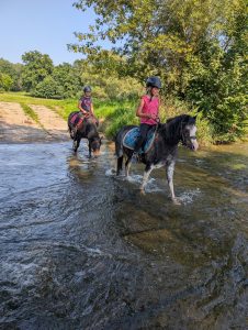unsere Ponys